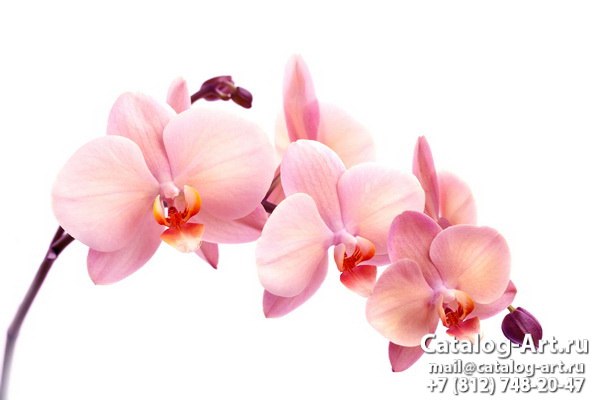 Натяжные потолки с фотопечатью - Розовые орхидеи 88